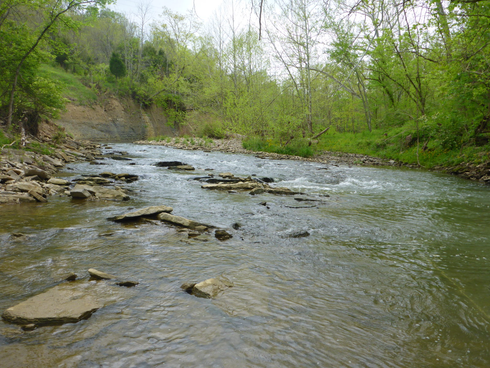 Woolper Creek Watershed Initiative – Boone County Conservation District