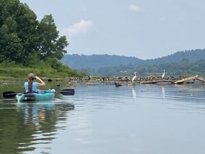 Birding by Kayak