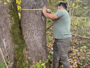 Forest Survey