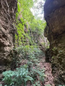 fiona blog 2.16