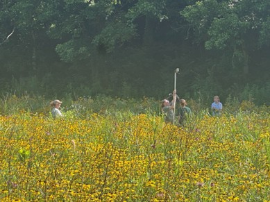 Putting up the Bat detector with Susan and Evie from BCCD, and Julia who was a TMU Intern this summer