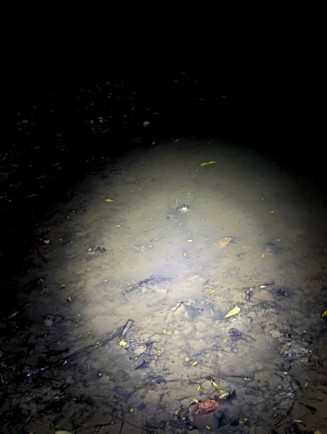 Picture13