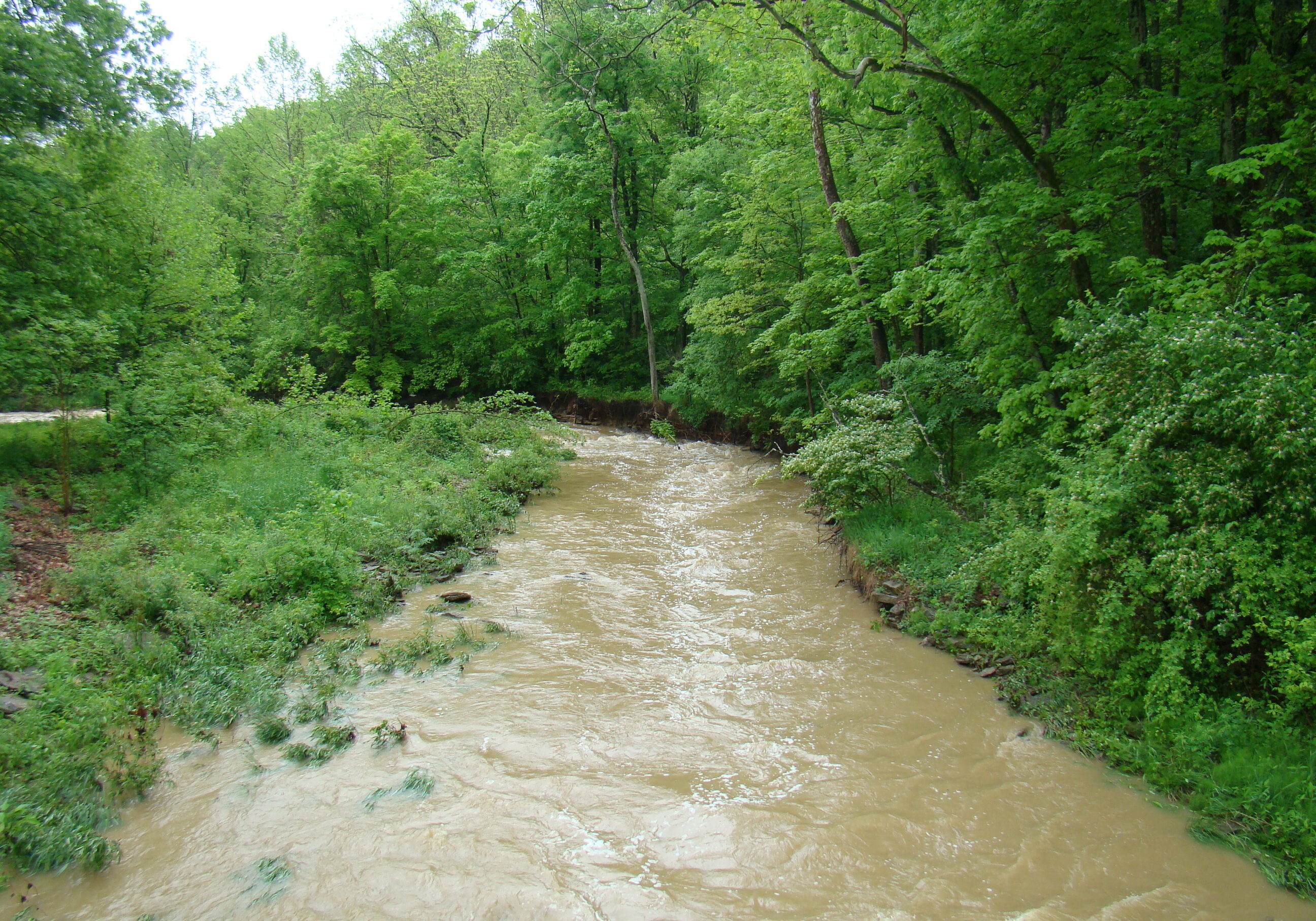 Allen Fork