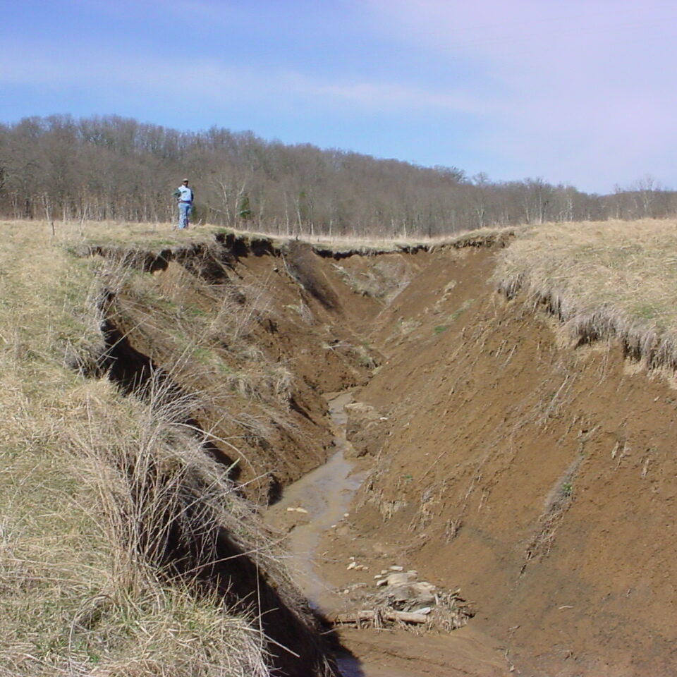 Lower Woolper Creek