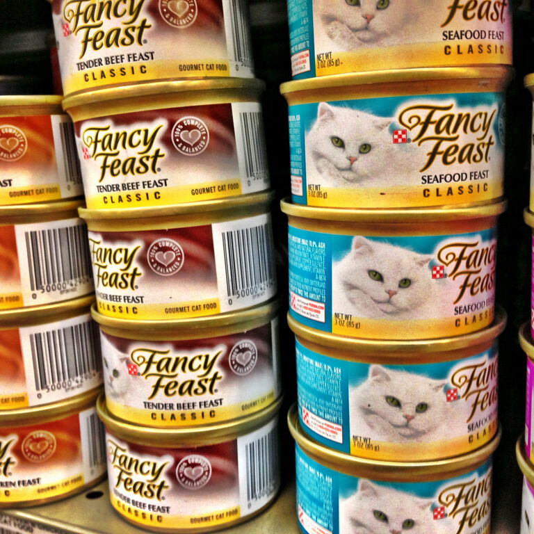 cat food